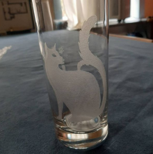 Cat Glass